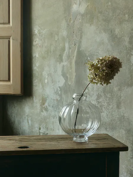 Hovedbilde Balloon Vase 01, Clear