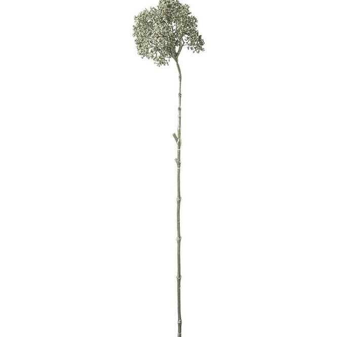Hovedbilde Bærkvist 74 cm, Grønn
