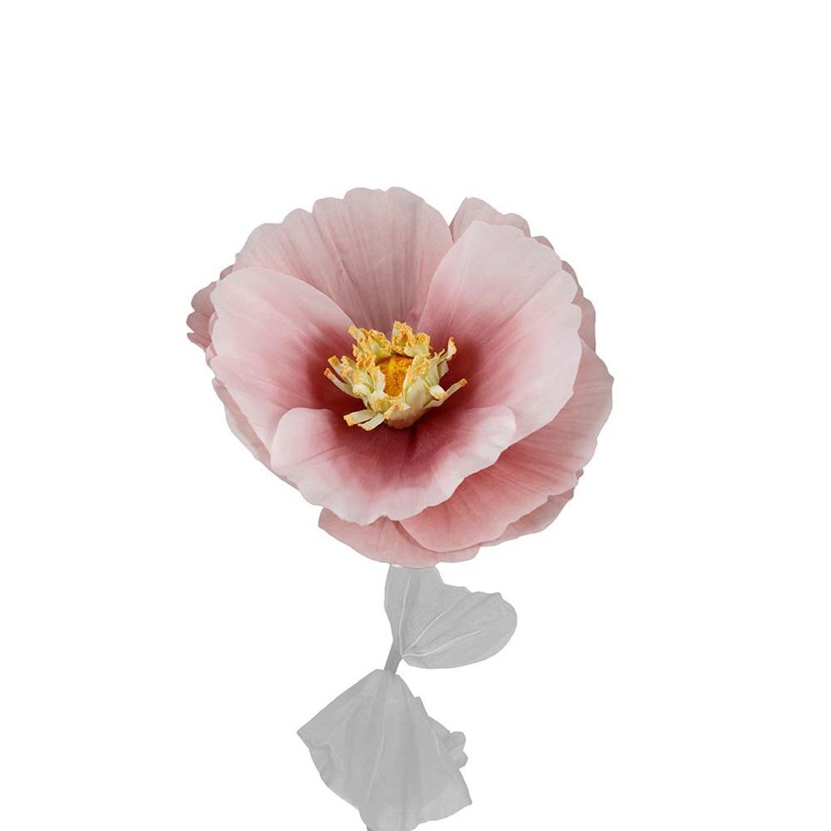 Signe rosa blomst, Ø40 cm