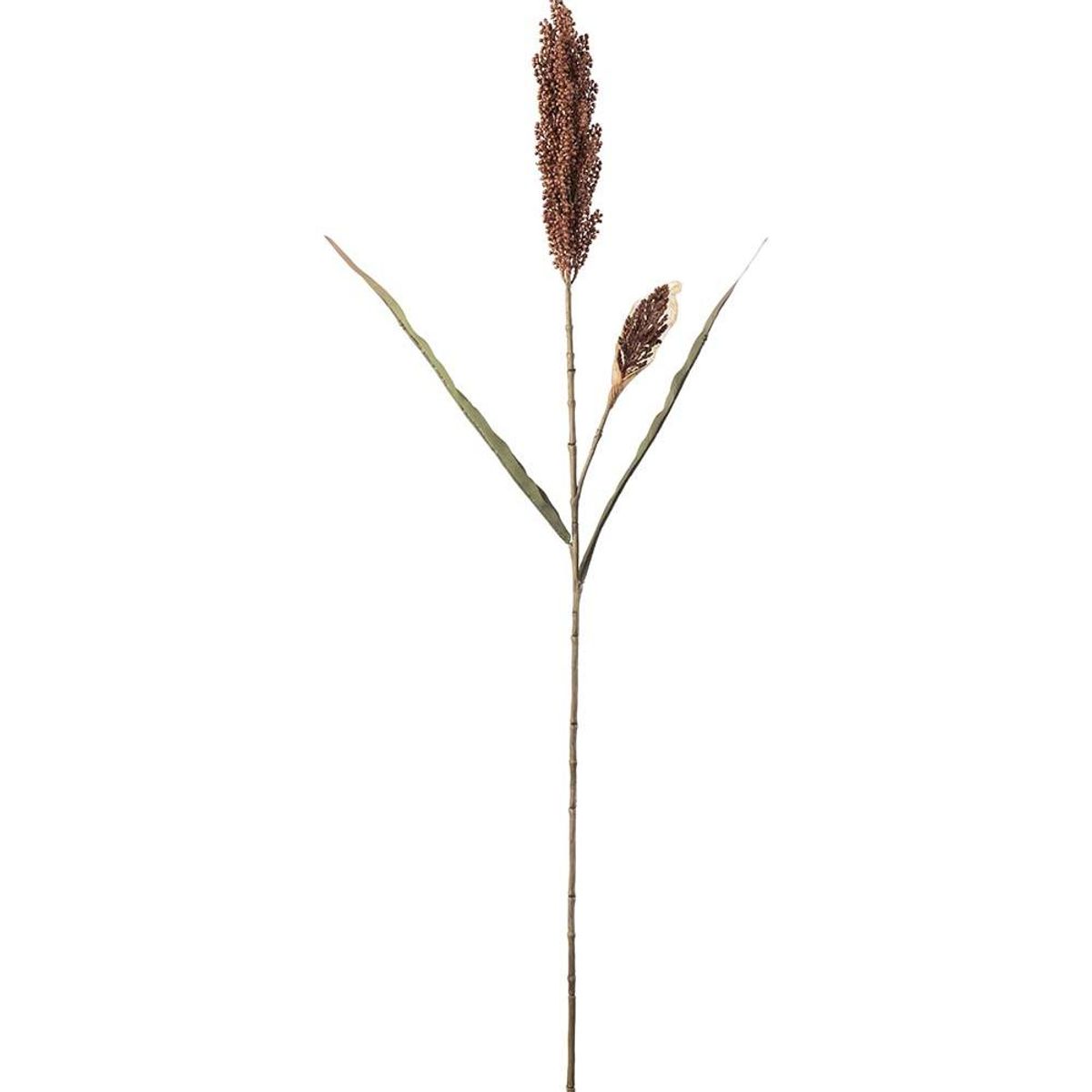 Durra 85 cm, Brun
