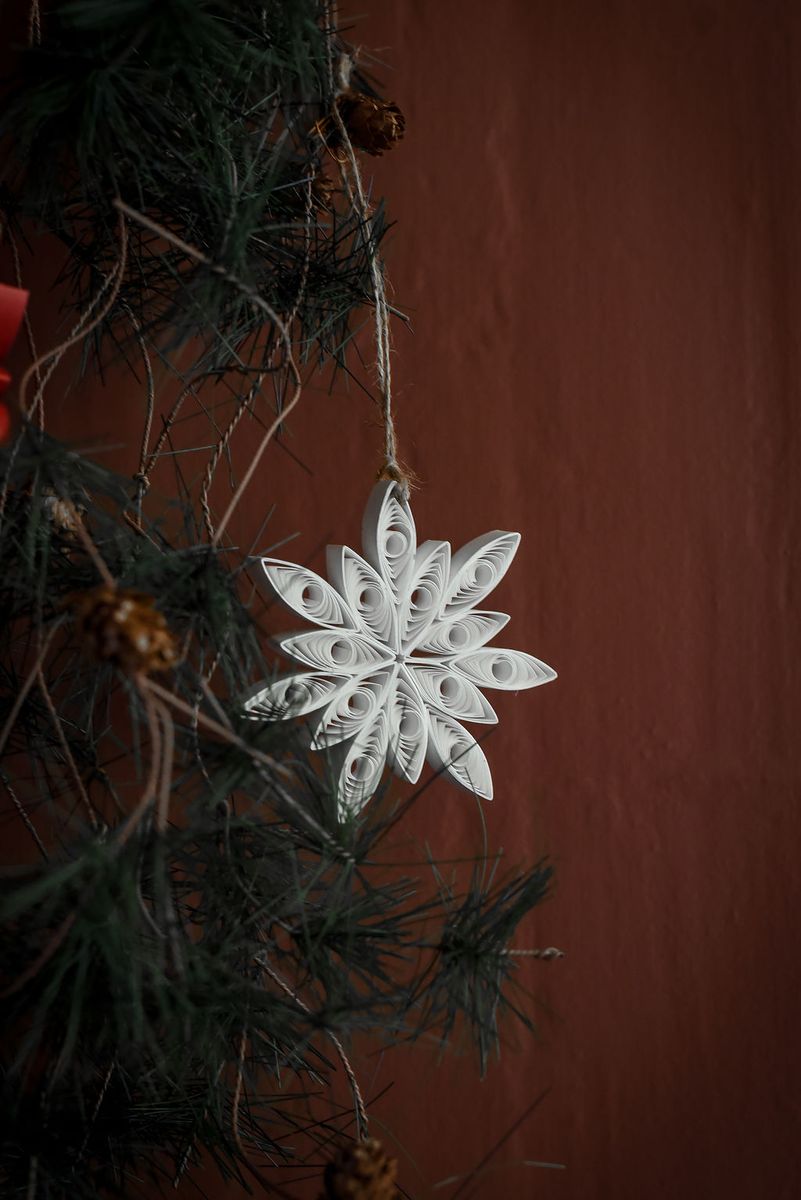 Snøfnugg 10 cm - Snø